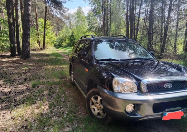 Hyundai Santa Fe cena 16900 przebieg: 210321, rok produkcji 2005 z Ciechanowiec małe 277